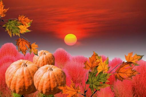 イメージ素材/ハロウィン・夕陽 イメージ素材/ハロウィン・夕陽 ハロウィン,夕陽,紅葉の写真素材