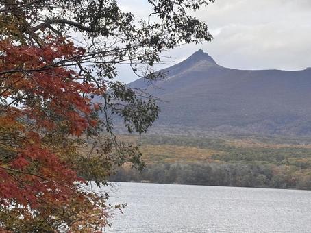 秋の大沼７の写真