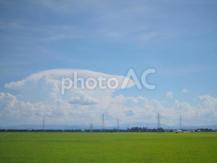 田舎の夏の風景(夏空・田んぼ・鉄塔) 夏雲,雲,空の写真素材