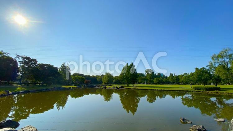 朝の北部公園（金沢市）：24 公園,春,夏の写真素材