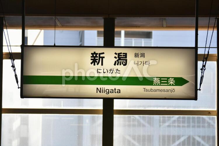 上越新幹線　新潟駅　13 ir東日本,スピード,フォルムの写真素材