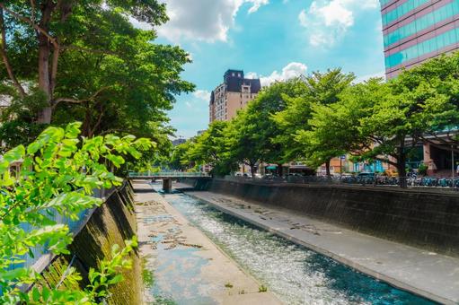 【台湾】台中の風景 2025 【台湾】台中の風景 2025 台中,ビル,風景の写真素材