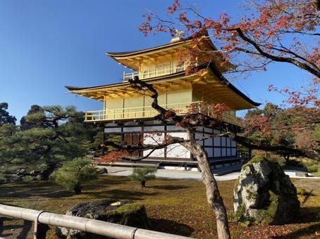金閣寺 金閣寺の写真