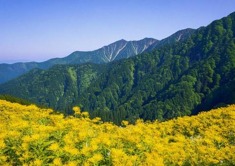夏の高原 夏の高原の写真