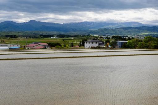 Photo, spring, paddy field, mountain, 