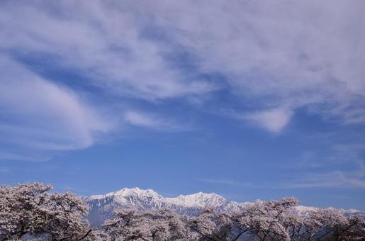 Photo, cherry blossoms, north alps, omachi, 