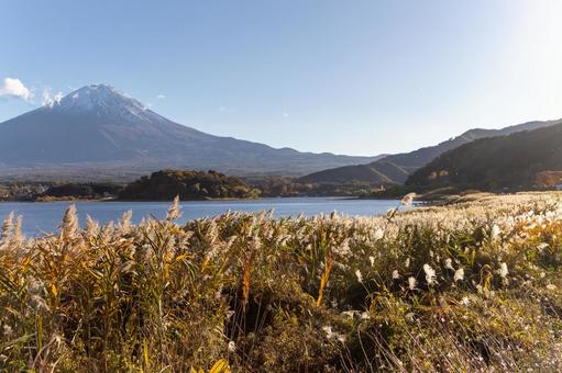 河口湖 河口湖,富士山,旅行の写真素材