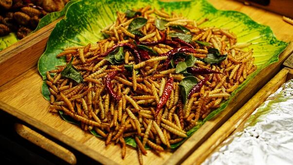 芋虫料理　竹虫 竹虫,昆虫食,虫料理の写真素材