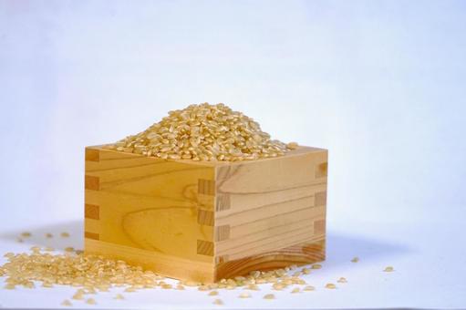 Brown rice (masu) ② (strong), JPG