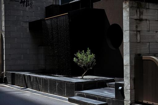 漆黒の影の舞台で浮かび上がる輝く一本の木の写真