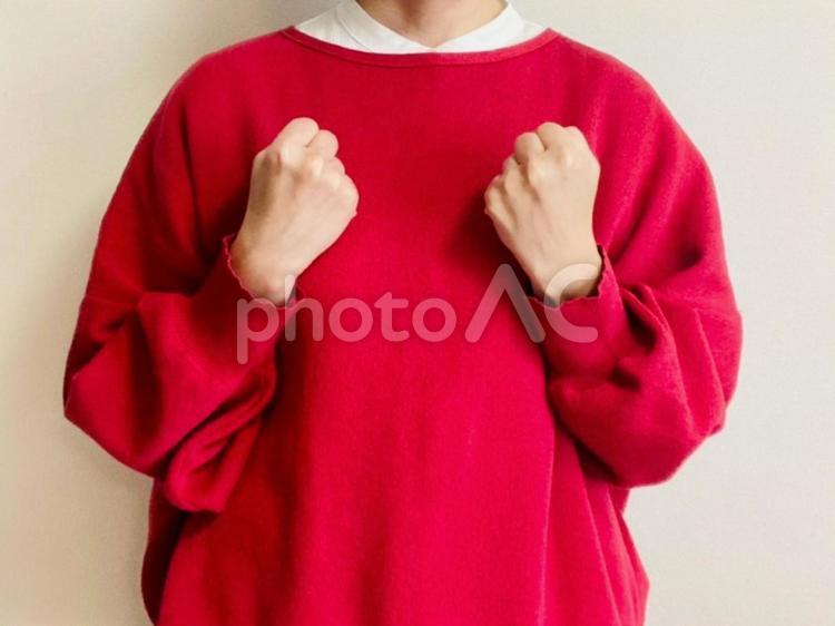 がんばれー！って応援する赤い服の女性 ガッツポーズ,女性,がんばれの写真素材