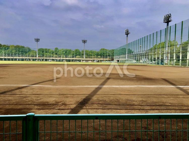 野球場 野球,ベースボール,野球場の写真素材