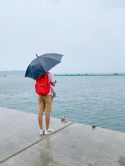 雨の中佇む父子 傘,荒天,雨降りの写真素材
