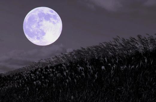 スーパームーンとススキのり面堤防・img スーパームーン,満月,月の写真素材