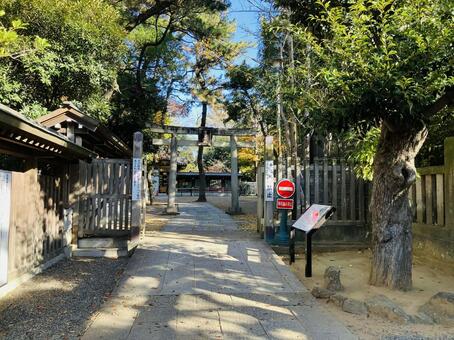 船橋大神宮　意富比神社　常磐神社 船橋大神宮,意富比神社,千葉県船橋市の写真素材