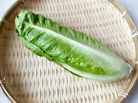 炒めても美味い健康野菜ロメインレタス(横 炒めても美味い健康野菜ロメインレタス(横 ロメインレタス,レタス,ビタミンaの写真素材