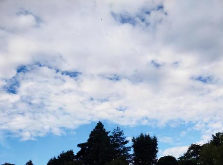 青空と雲 青空と雲の写真