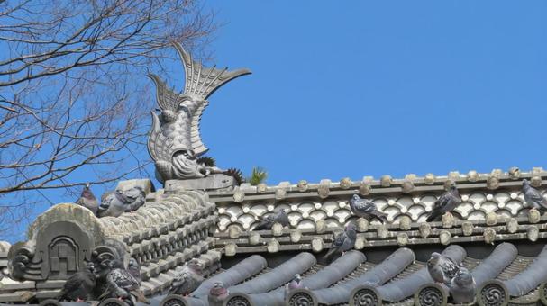 土浦城　太鼓櫓門の鯱　北側 土浦城,亀城,太鼓櫓門の写真素材
