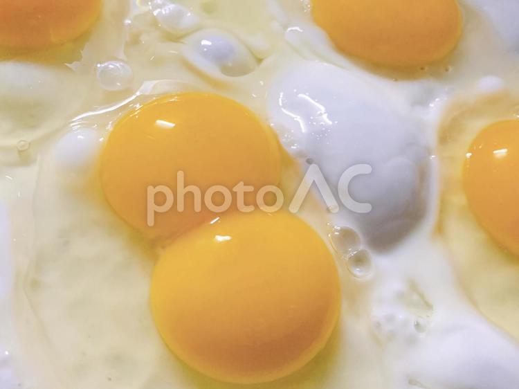 双子の目玉焼き 目玉焼き,双子,目玉焼の写真素材