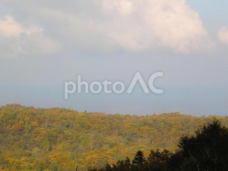 20121027知床カムイワッカ湯の滝への道4 北海道,知床,秋の写真素材