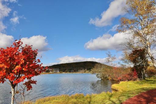 紅葉の白樺湖 紅葉の白樺湖の写真