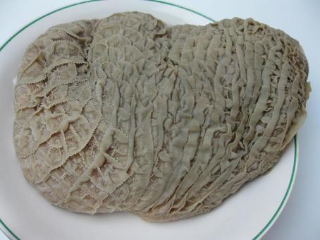 ハチノス 牛肉 ホルモン ハチノス 牛肉 ホルモン ハチノス,牛肉,ホルモンの写真素材