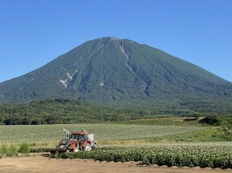 畑と羊蹄山 畑と羊蹄山 北海道,山,羊蹄山の写真素材