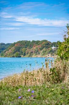 海岸沿いから眺める風景 海,ビーチ,波打ち際の写真素材