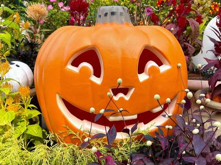 ハロウィンのかぼちゃ ハロウィン,パンプキン,かぼちゃの写真素材