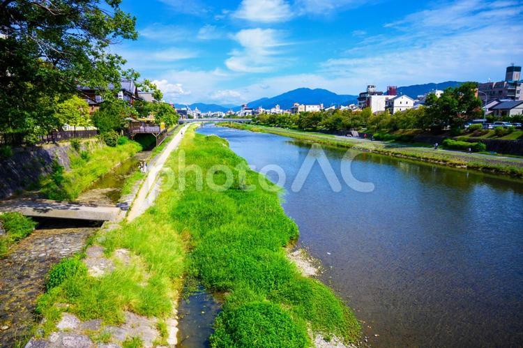 緑の美しい青空の川 川,風景,自然の写真素材