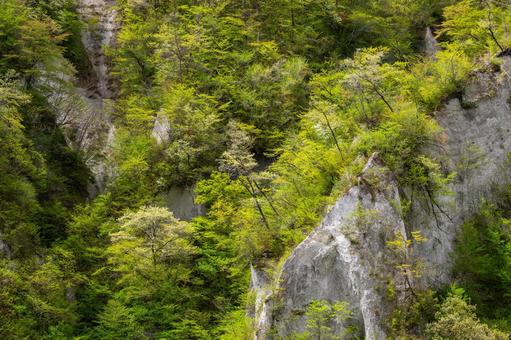 白岩の春⑽ 白岩の春⑽の写真