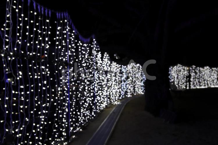 天主公園のイルミネーションの玉ボケ02 クリスマス,長崎,玉ボケの写真素材