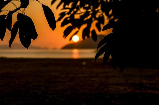 <素材>日が沈む夕暮れの海の風景 <素材>日が沈む夕暮れの海の風景の写真