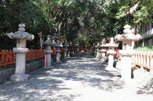 紀州東照宮　参道の石燈籠 紀州東照宮,参道,石燈籠の写真素材