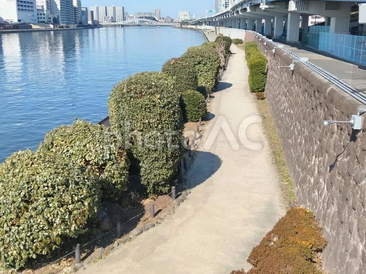 河川の遊歩道 散歩,さんぽ,街並みの写真素材
