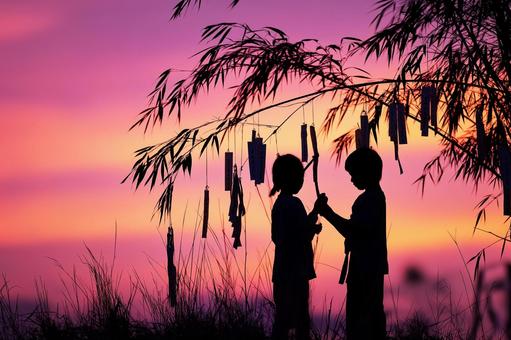 Bamboo and paper strips swaying in the sunset, tanabata, strip, wish, JPG