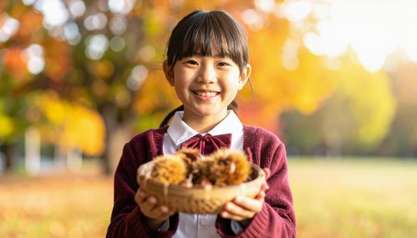 栗拾い 籠の中の栗を見せる少女 栗拾い 籠の中の栗を見せる少女の写真
