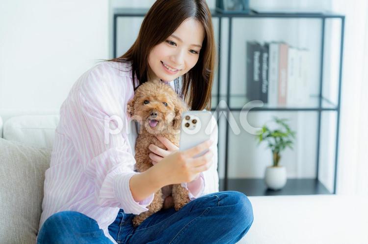 部屋でペットとくつろぐ若い女性 スマホ,ペット,女性の写真素材