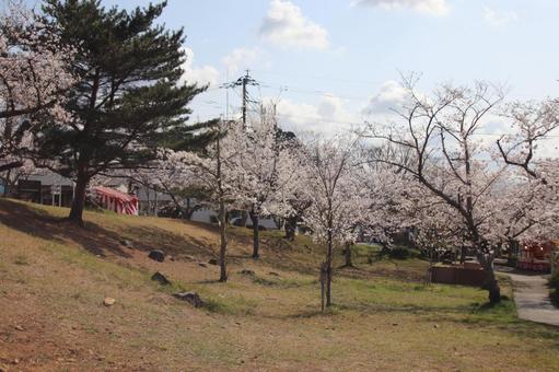 安部山公園 安部山公園 安部山公園,北九州,福岡の写真素材