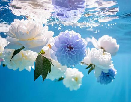 水の中の美しい花 水の中の美しい花の写真