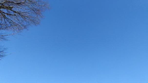 空 空の写真