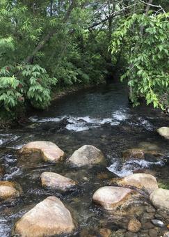 小川(北海道)No.2 小川(北海道)No.2 小川,川,水辺の写真素材