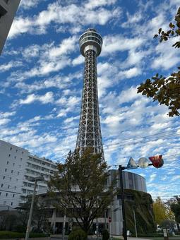 横浜マリンタワー 横浜マリンタワー,横浜,晴れの写真素材