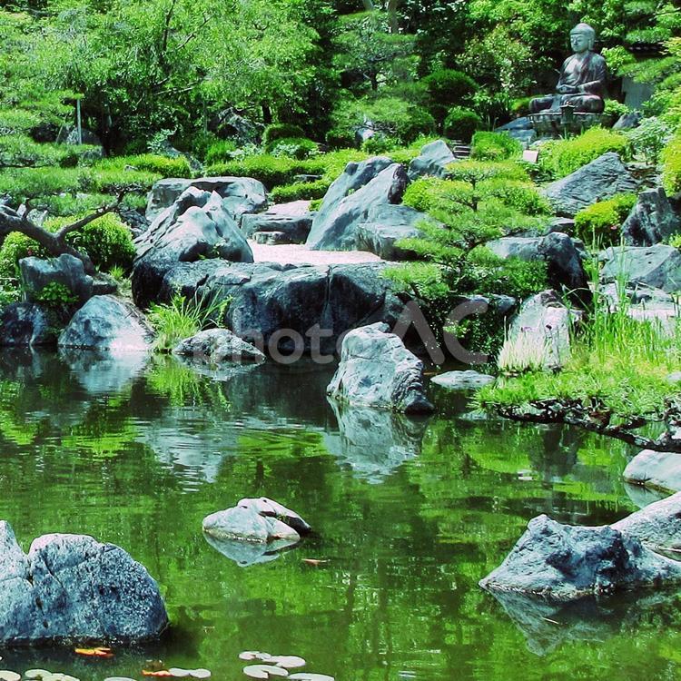 奈良県-當麻寺-奥院-浄土庭園-阿弥陀仏 當麻寺,寺,二上山の写真素材