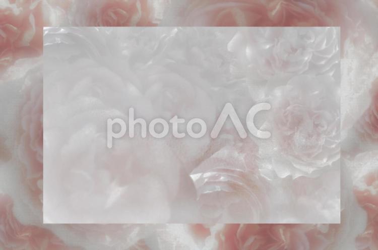 薔薇の花のフレーム フレーム,薔薇,花の写真素材