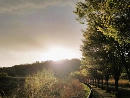 新緑の山と夕日の幻想的風景 新緑の山と夕日の幻想的風景の写真