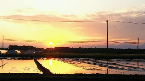 水田と夕陽の写真
