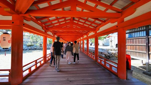 厳島神社 厳島神社,観光地,風景の写真素材