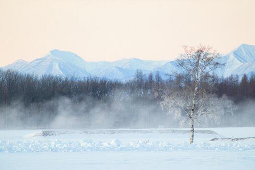 気嵐と白樺 気嵐,白樺,霧氷の写真素材