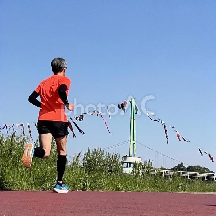 鯉のぼりを見ながら走る男性 男性,男,走るの写真素材